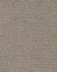 Plush Plain Greystone by  Robert Allen 