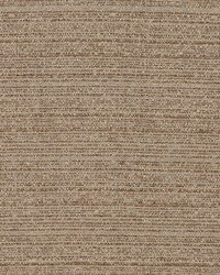 Plush Plain Twine by  Robert Allen 