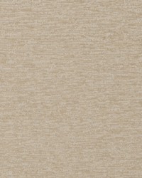 Wild Chenille Natural by  Robert Allen 