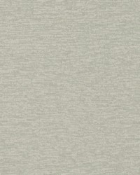 Wild Chenille Patina by  Robert Allen 