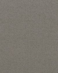 Primo Lino Dove Grey by  Robert Allen 