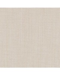 Aniwa Blackout Ivory by  Robert Allen 