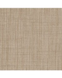 Aniwa Blackout Natural by  Robert Allen 