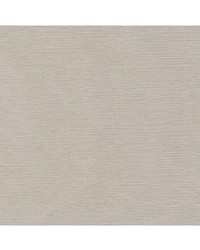 Munda Blackout Abalone by  Robert Allen 