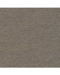 Munda Blackout Black Silver by  Robert Allen 