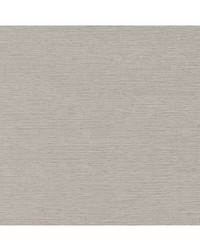 Munda Blackout Platinum by  Robert Allen 