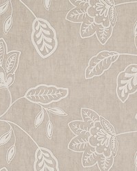 Benmore Garden Driftwood by  Robert Allen 