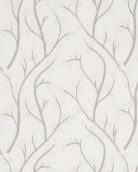 Meadow Buds Driftwood by  Robert Allen 