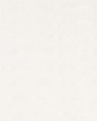 Copperini Glacier by  Robert Allen 