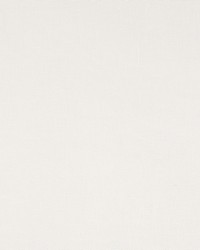 Hope Island Pale Cream by  Robert Allen 