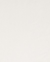 Frosty Dawn Ivory by  Robert Allen 