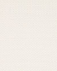 String Theory Ivory by  Robert Allen 