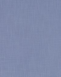 Posh Linen Iris by  Robert Allen 