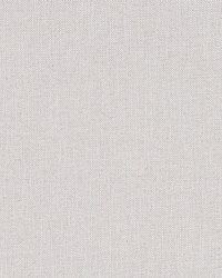 Posh Linen Ivory by  Robert Allen 