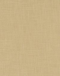 Posh Linen Sandstone by  Robert Allen 