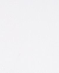 Payoff Pale Cream by  Robert Allen 