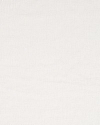 Totally Dotted Ivory by  Robert Allen 