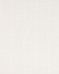 Amblehurst Ivory by  Robert Allen 