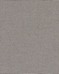 Ovindoli Abalone by  Robert Allen 