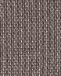 Ovindoli Coffee by  Robert Allen 