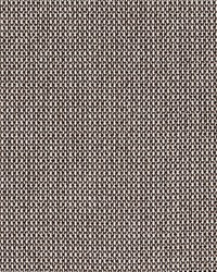 Monte Amiata Coffee by  Robert Allen 