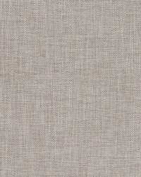 Borucu Abalone by  Robert Allen 