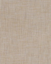 Borucu Marigold by  Robert Allen 