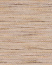 Polson Mandarin by  Robert Allen 