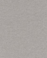 Ardenvoir Slate by  Robert Allen 