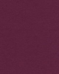 Ardenvoir Berry by  Robert Allen 