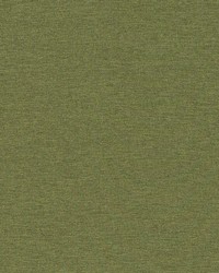 Ardenvoir Fern by  Robert Allen 