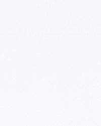 Chelan Falls Crystal by  Robert Allen 