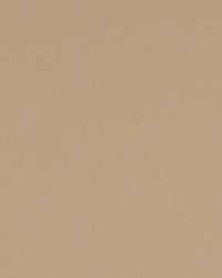 Chelan Falls Taupe by  Robert Allen 