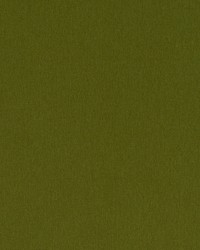 Chelan Falls Fern by  Robert Allen 