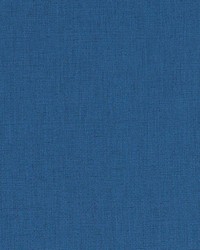 Halmore Lane Cornflower by  Robert Allen 