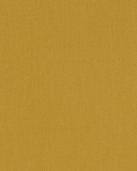 Halmore Lane Mustard by  Robert Allen 