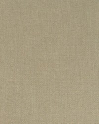 Halmore Lane Taupe by  Robert Allen 