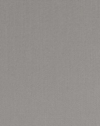 Halmore Lane Pewter by  Robert Allen 