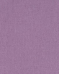 Halmore Lane Lavender by  Robert Allen 
