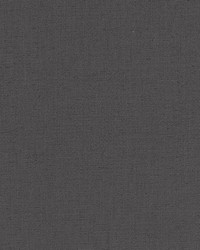 Halmore Lane Charcoal by  Robert Allen 