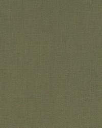 Halmore Lane Moss by  Robert Allen 