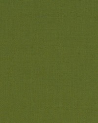 Halmore Lane Fern by  Robert Allen 