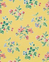 Halsey Place Daffodil by  Robert Allen 