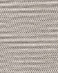 Nobletex Rr Bk Driftwood by  Robert Allen 