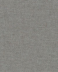 Nobletex Rr Bk Slate by  Robert Allen 