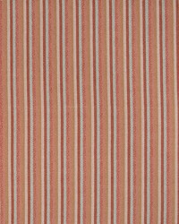 TERRY TRACKS TOMATO by   