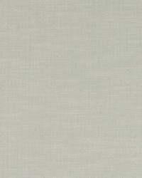 Zimturn Aloe by  Robert Allen 