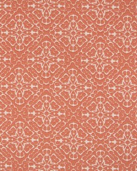 HERBERT TOMATO by  Robert Allen 