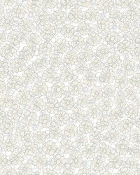 Allison Taupe Floral by   