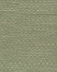 Kenjitsu Mint Grasscloth by   